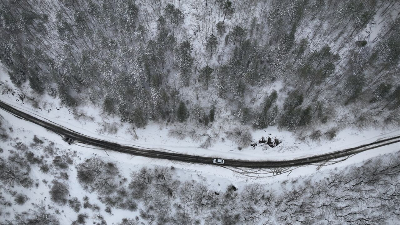 Görenleri büyüleyen manzara: Kocadağ yaylası
