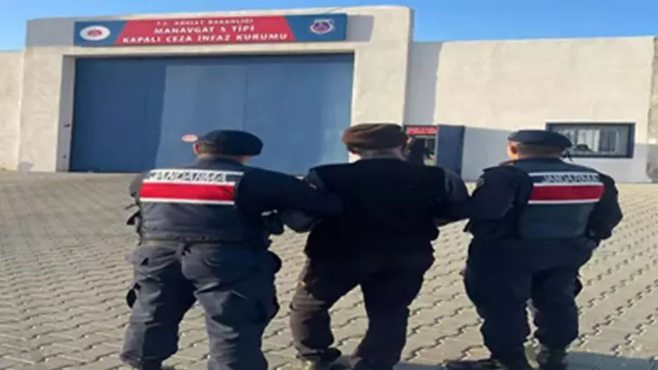 Öldüren köpeklerin sahibine hapis cezası