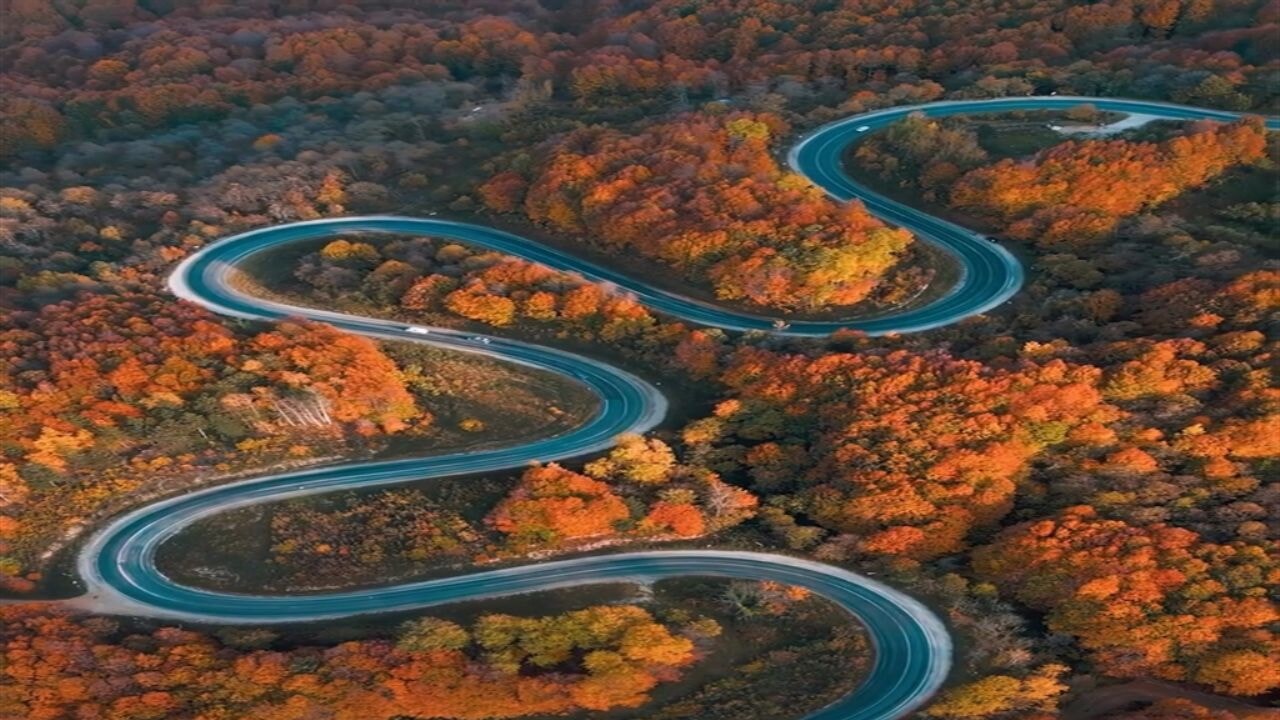 Domaniç Dağları'na uzanan 'kıvrımlı yollar'da sonbahar