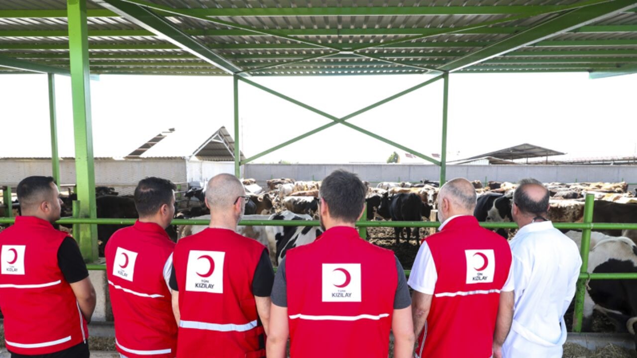 2025 kurbanlık fiyatları açıklandı! Kızılay vekalet bedeli ne kadar oldu?