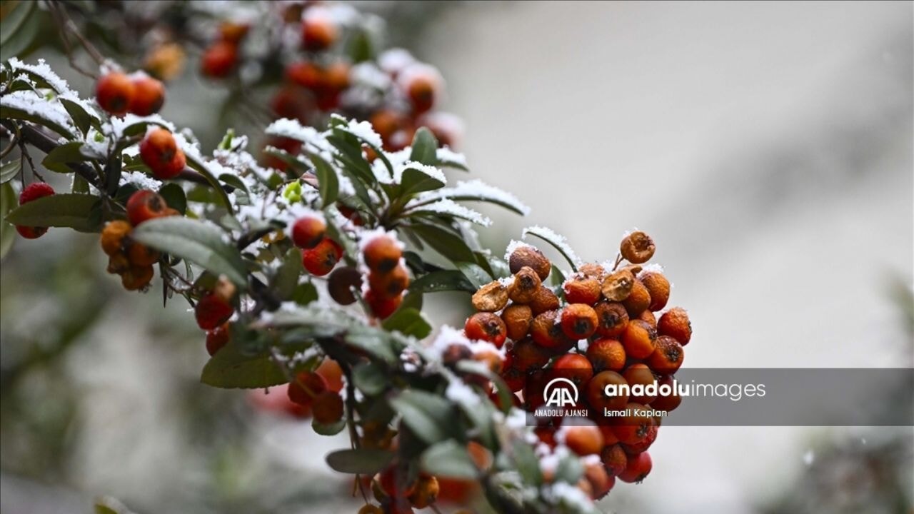 Ankara'da 19 Mart'ta kar yağışı başladı