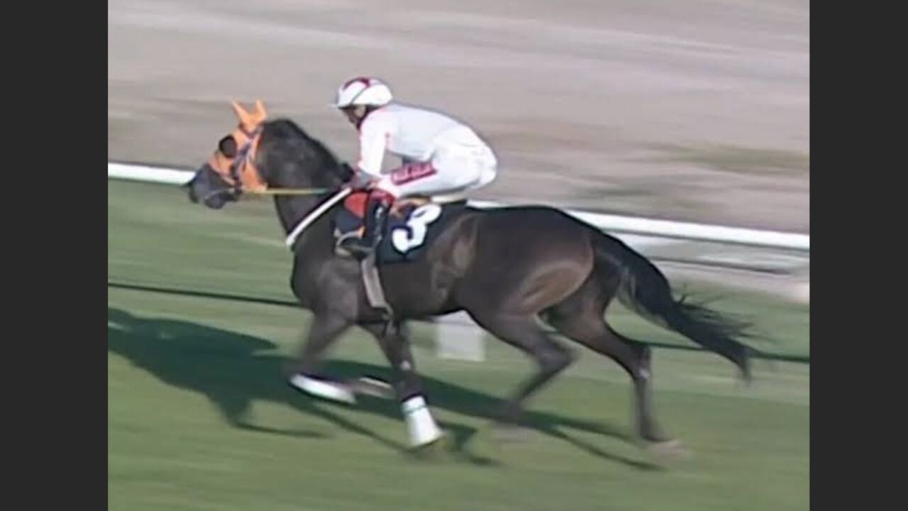 'At eti' ile yakalanan firma hakkında 'Süleymancılar' bağlantısı iddiası!