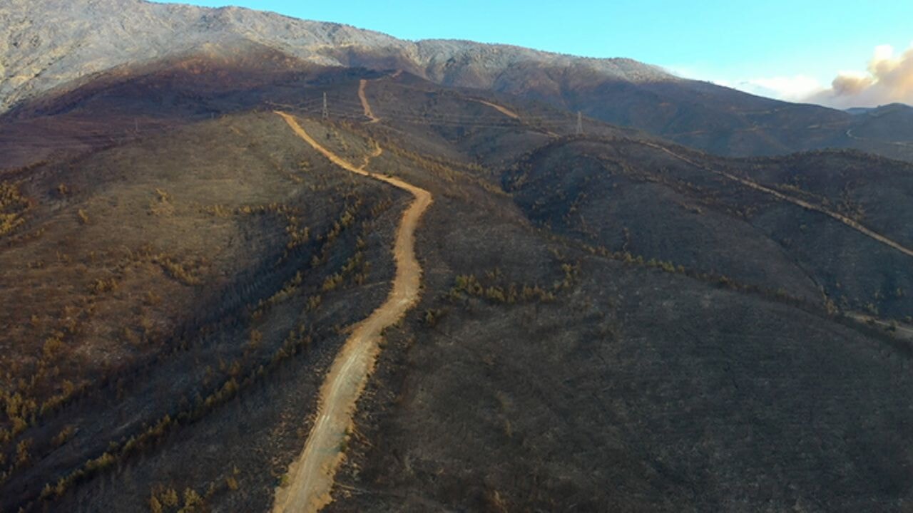 Bakan Yumaklı'dan orman yangınlarıyla ilgili açıklama