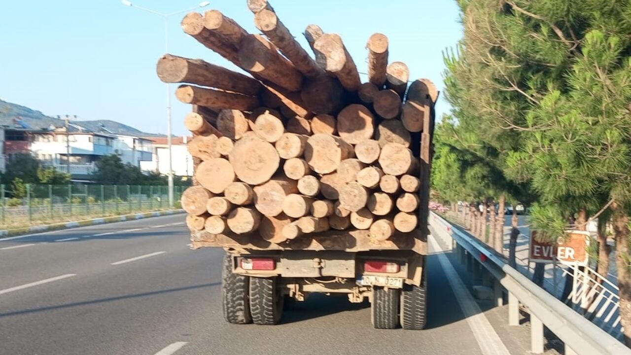 Balıkesir'de tomruk yüklü kamyona çarpan minibüste dehşet anları