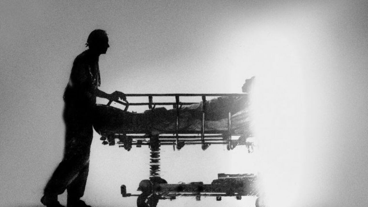 Bilim İnsanları Keşfetti! Ölüm anında beyindeki gizemli kimyasal patlama