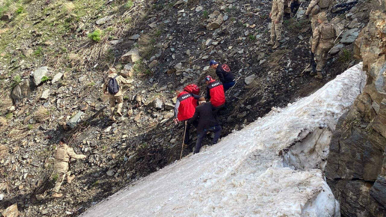 Bitlis'te dağa çıkan kadın kayalıklardan düştü: Feci ölüm!