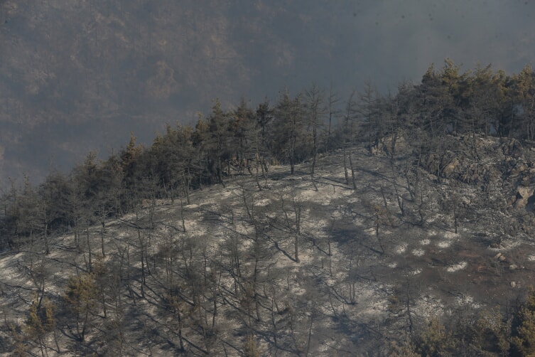 Bursa yangını son durum | Bursa orman yangınında ormanın son hali, yangın söndürüldü mü, ölen ve yaralanan var mı?
