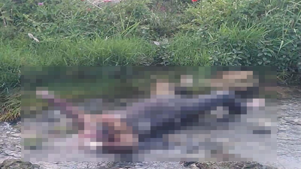 Cezaevinden izinli çıktı, dere yatağında ölü bulundu