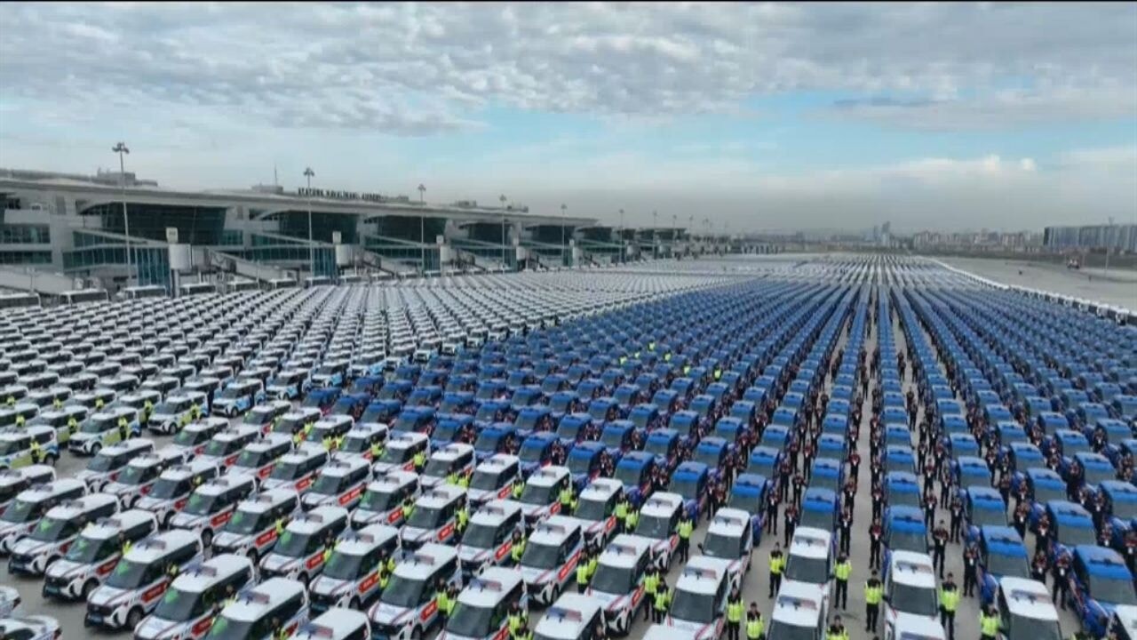 Cumhurbaşkanı Erdoğan, binlerce aracın teslim töreninde konuştu