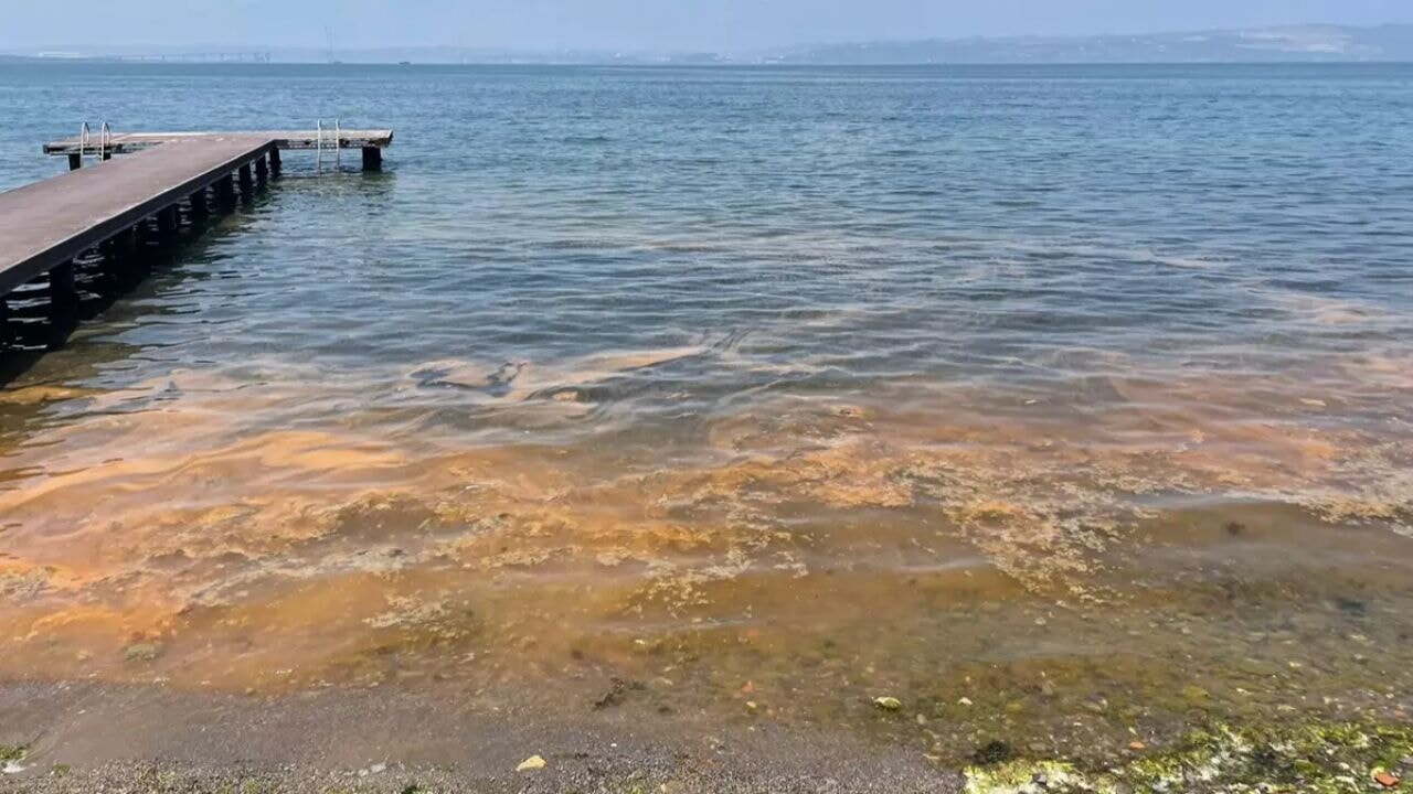 Deniz turuncuya döndü! Kocaeli sahilinde endişelendiren görüntü