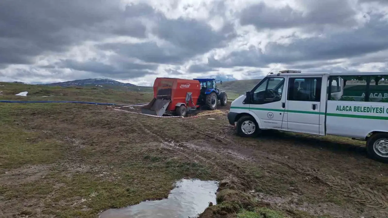 Denizli'de feci iş kazası! Yem karma makinesine düşen adam öldü