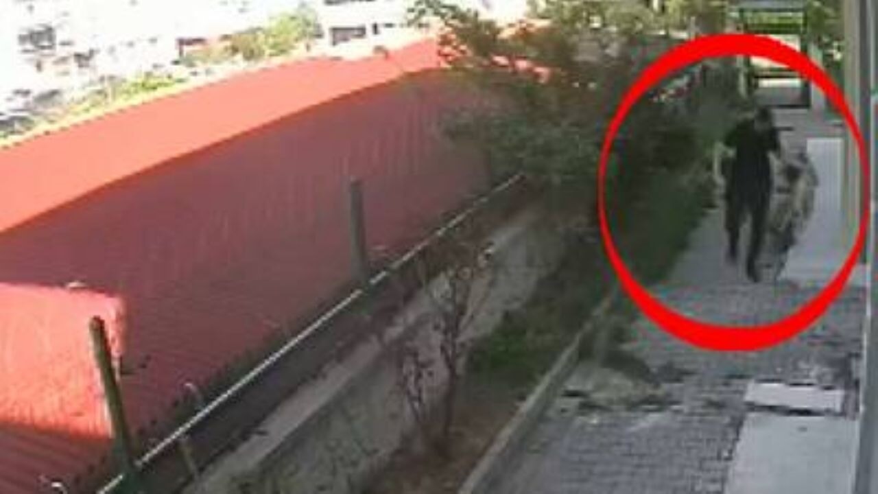 Doktorun evinde parçalanmış köpek cesetleri, telefonda korkunç videolar