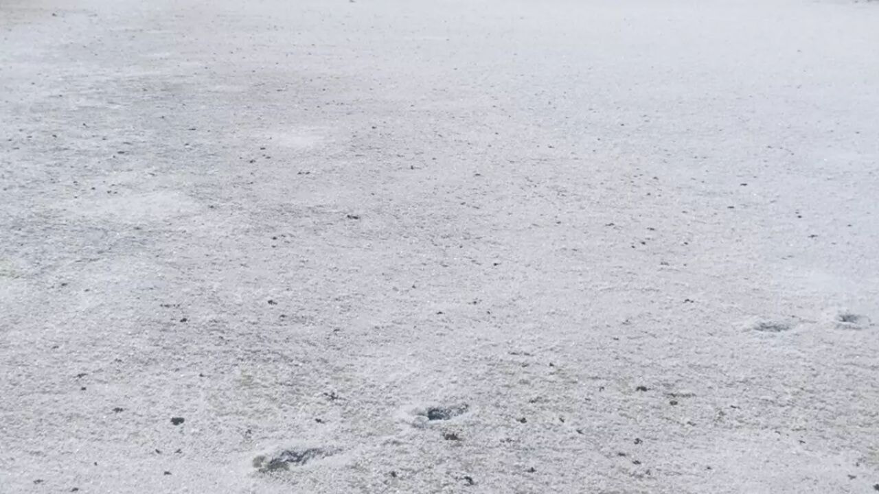 Edirne'de kuruyan göl tuzla kaplandı! Tatilciler akın etti