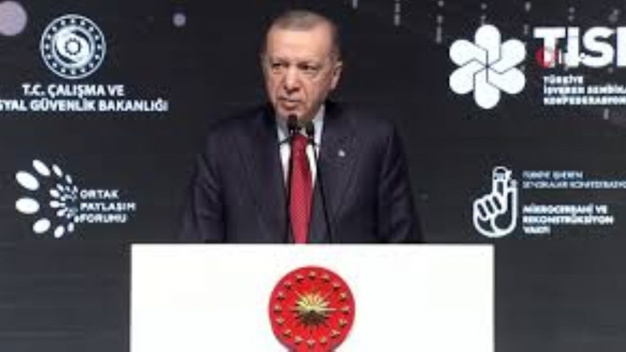 Erdoğan: İşverenler taşın altına el koysun
