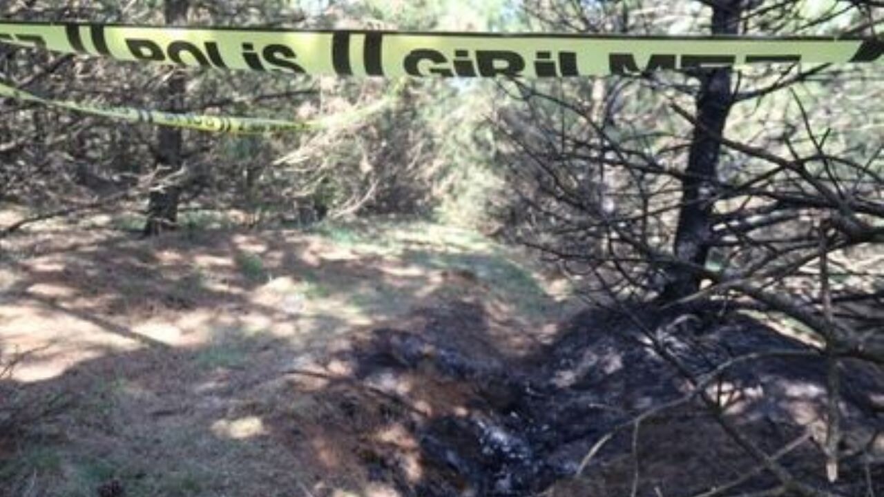 Eskişehir'de vahşet! Genç kadın ormanda yakılarak öldürüldü!