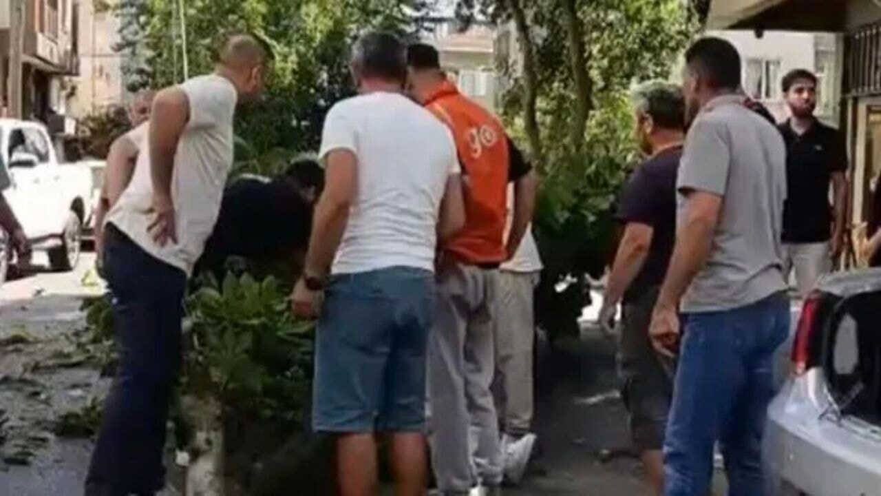 Genç dizi oyuncusunun üzerine ağaç düştü! Hayatta kalma mücadelesi veriyor