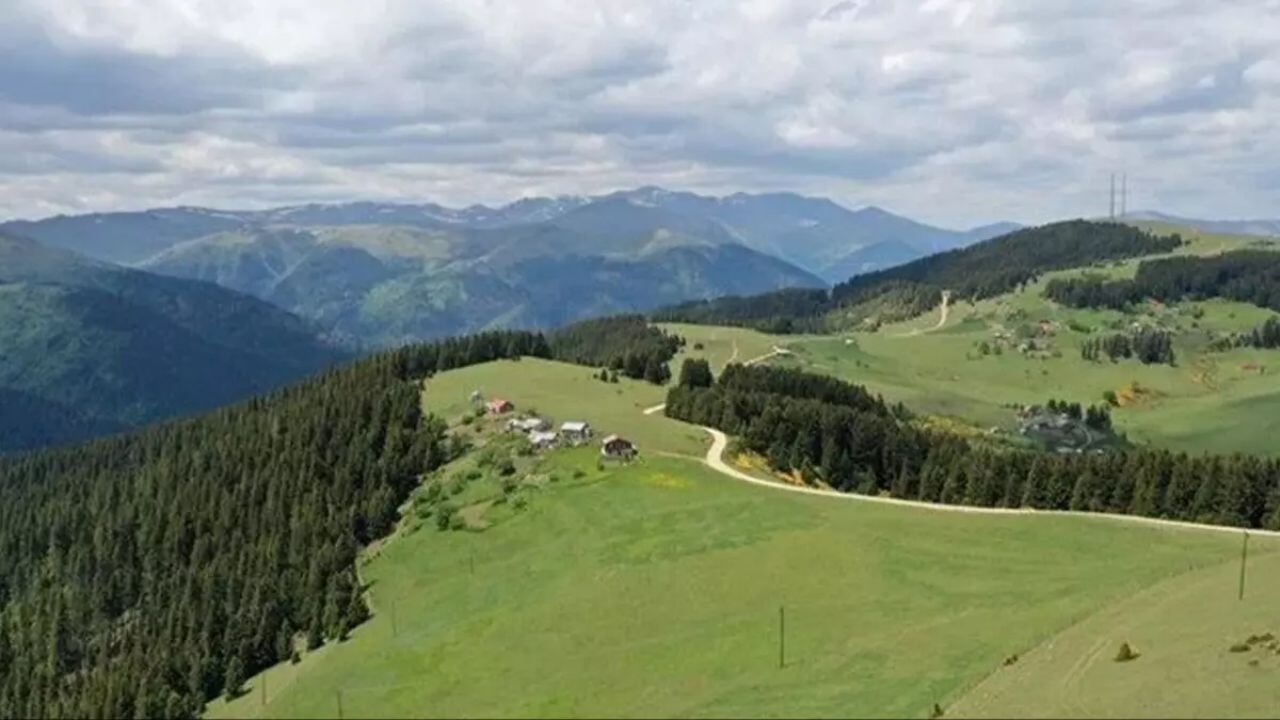 Giresun'da aileler arasında çatışma: Ölü ve yaralılar var