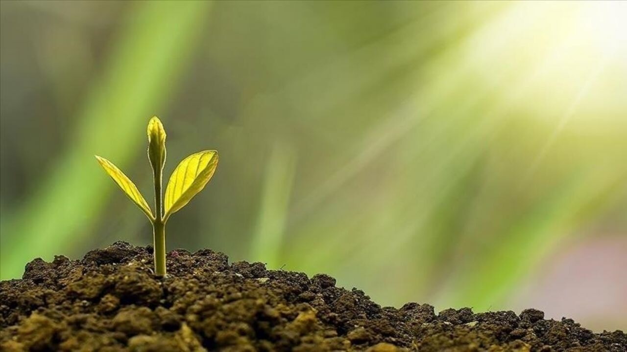 İklim Kanunu yürülüğe girdi: Türkiye yeşil dönüşüme resmen başladı