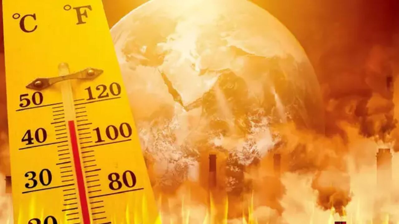 İklim krizi büyüyor. Ocak 2025'te yeni sıcaklık rekoru kırıldı