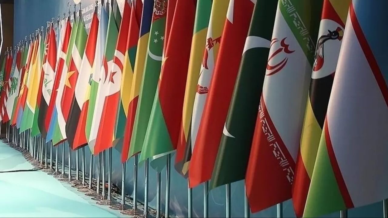 İslam dünyası için liderlik Türkiye'de: İslam coğrafyasının kalbi BM'de Türkiye ile atacak