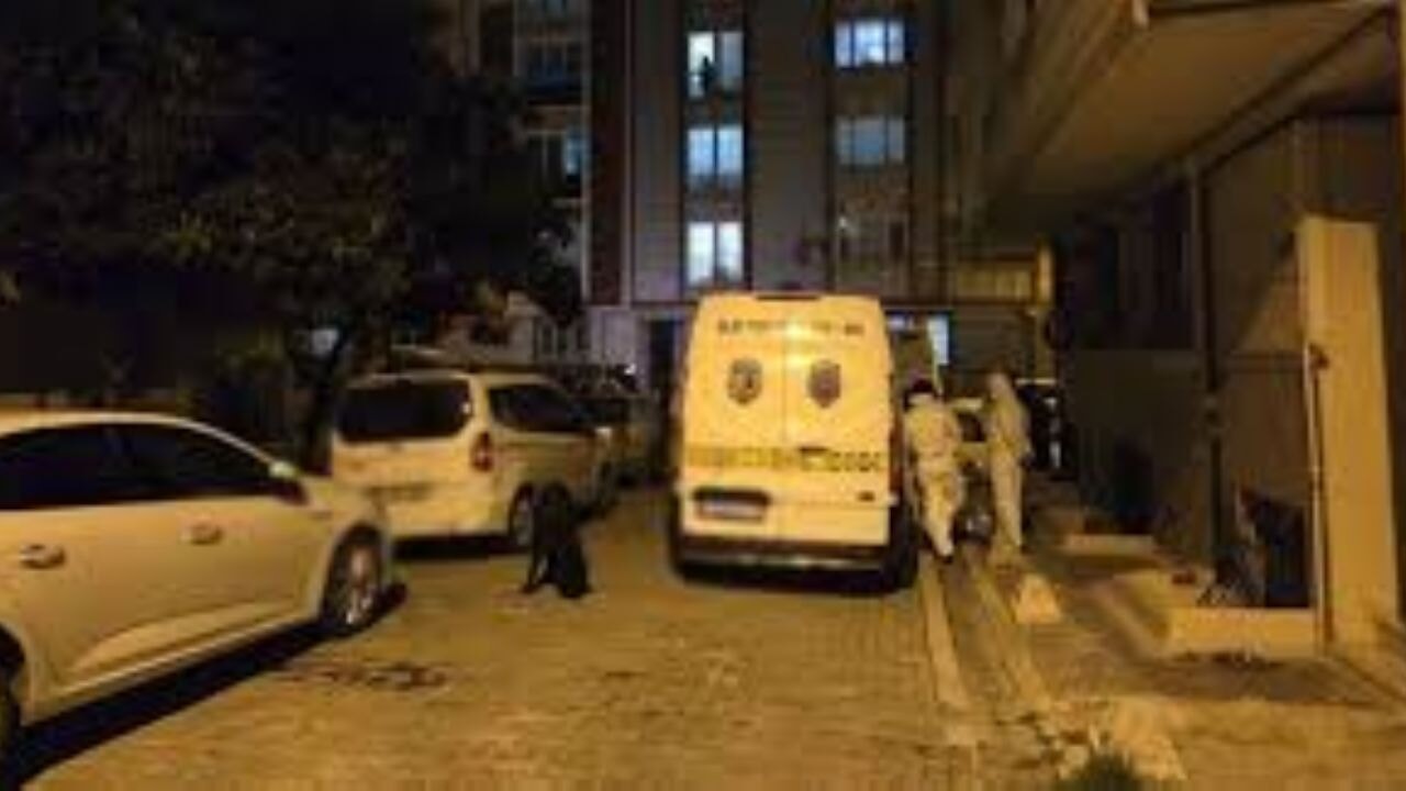 İstanbul'da cinayet gecesi