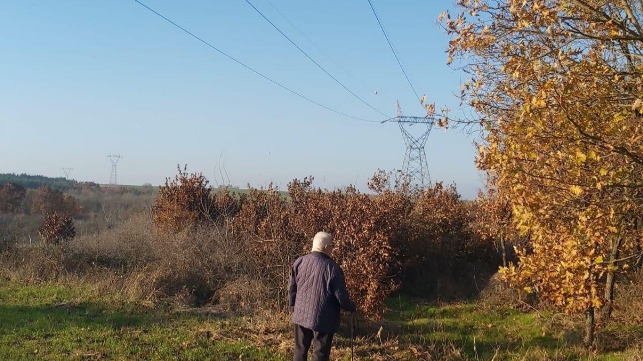 Kamulaştırma davasında emsal karar