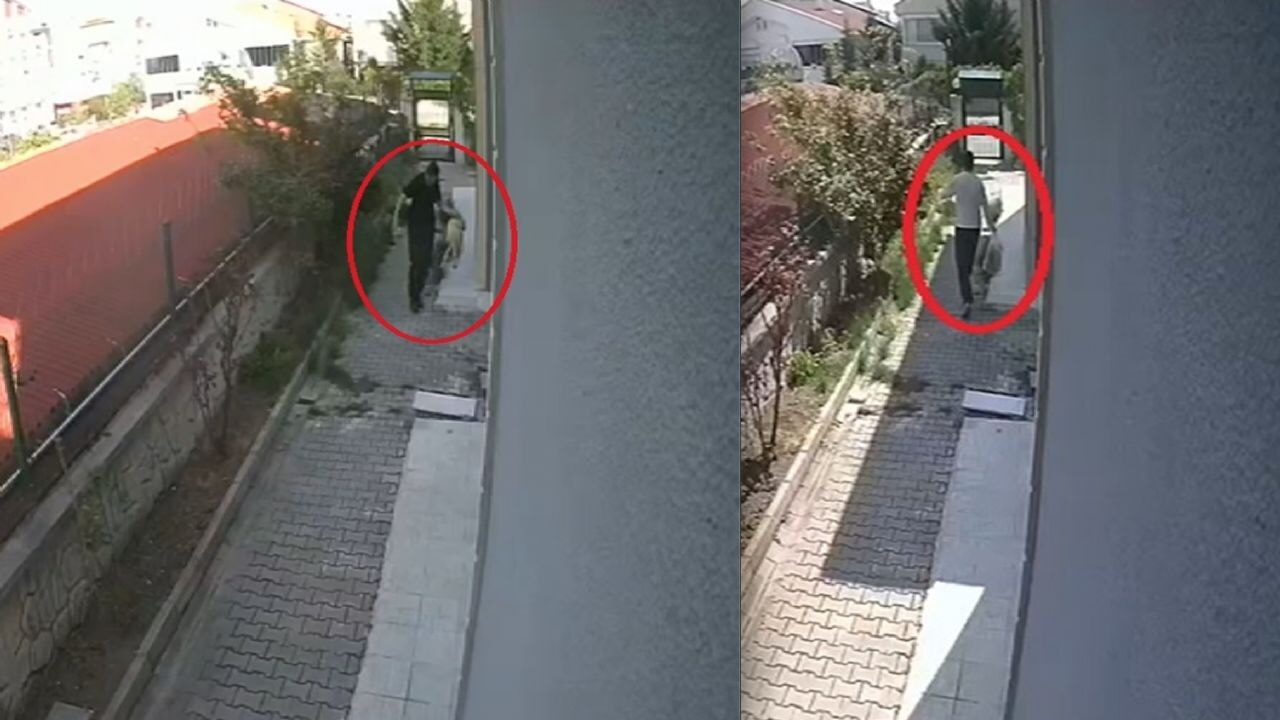 Köpekleri parçalayıp, öldürdüğü iddia edilen doktor tutuklandı