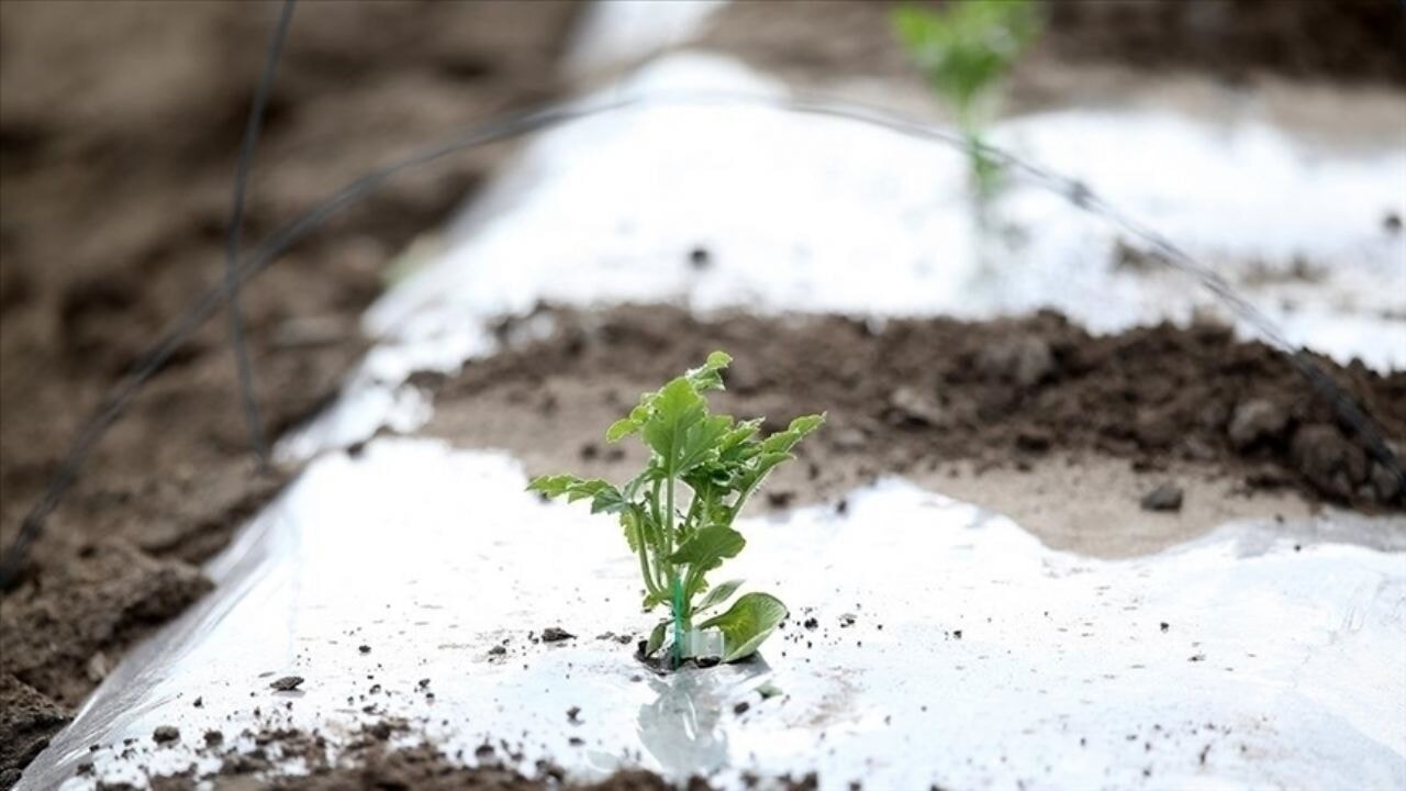 Meteoroloji uyardı: Kar ve zirai don birçok ili vuracak!