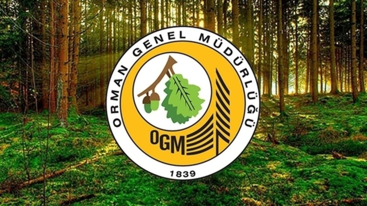 Orman Genel Müdürlüğü işçi alımı için geri sayım başladı