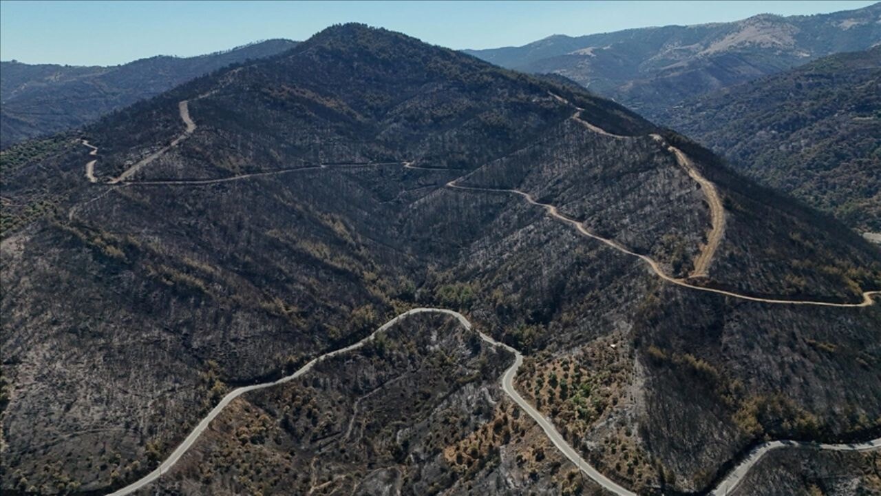 Orman yangını soruşturmalarında tutuklu sayısı 13 oldu