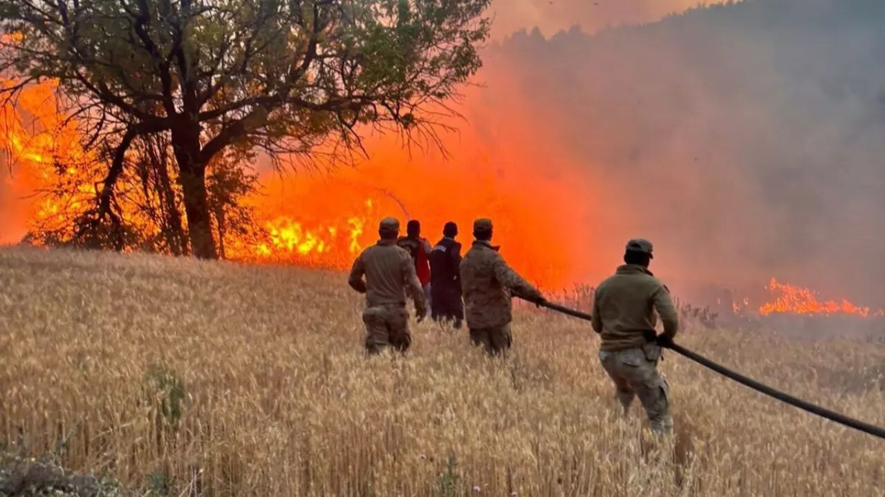 Orman yangınlarında 4 tutuklama, 23 gözaltı