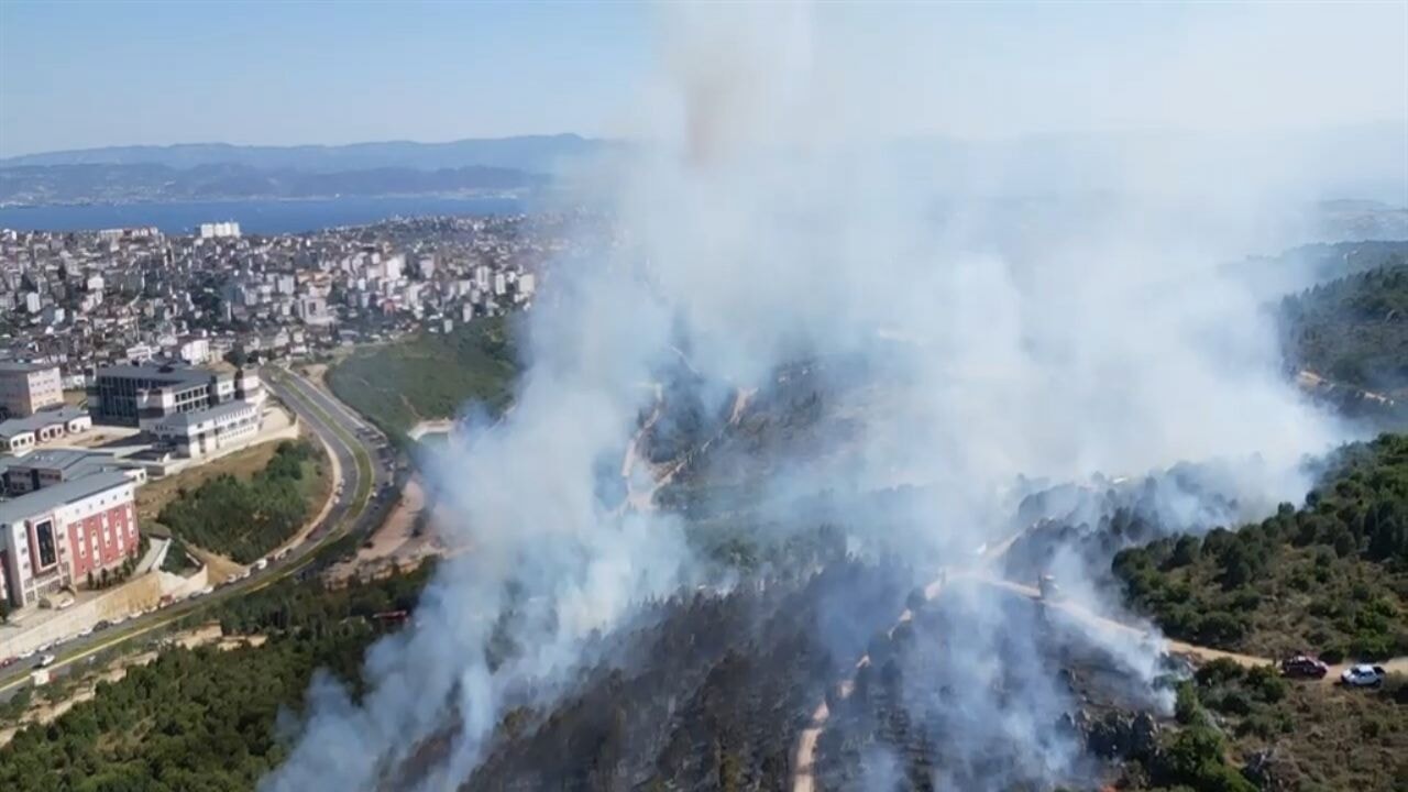 Orman yangınlarıyla ilgili 44 gözaltı, 10 tutuklama