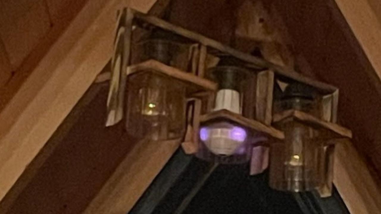 Sakarya'da bungalovda gizli kamera olayında 2 tutuklama