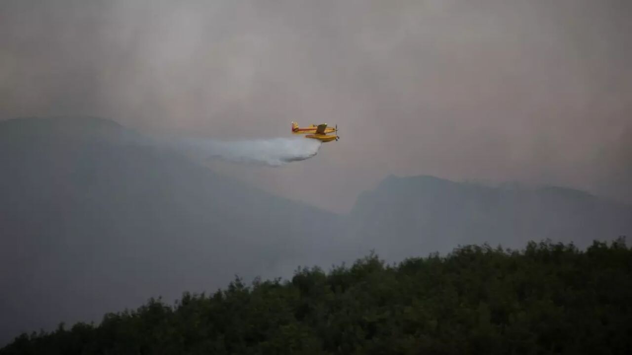 Sakarya ve Bilecik'teki orman yangınına 12 helikopter ve 6 uçakla müdahale