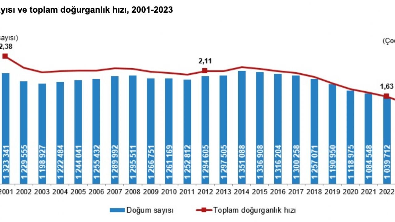 Türkiye'de doğurganlık hızı neden düşüyor? 2024 verileri neyi gösteriyor?