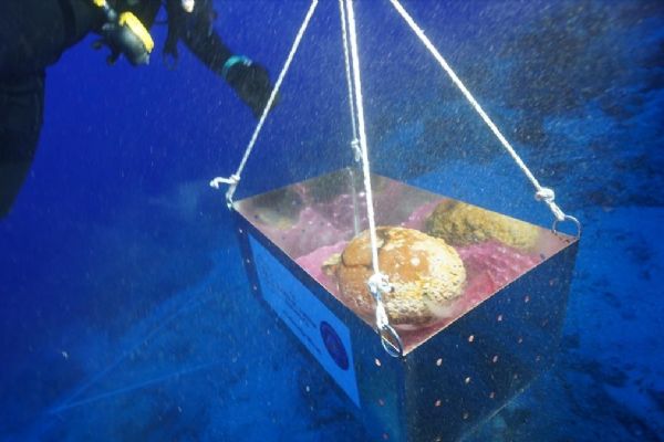 Türkiye sınırında heyecanlandıran keşif! Dünyada bir eşi yok