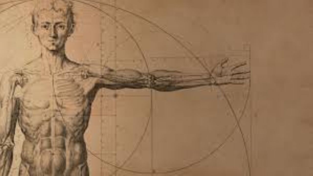 Yapay rahimde büyütülen insanlar! Yedek organ için mi?