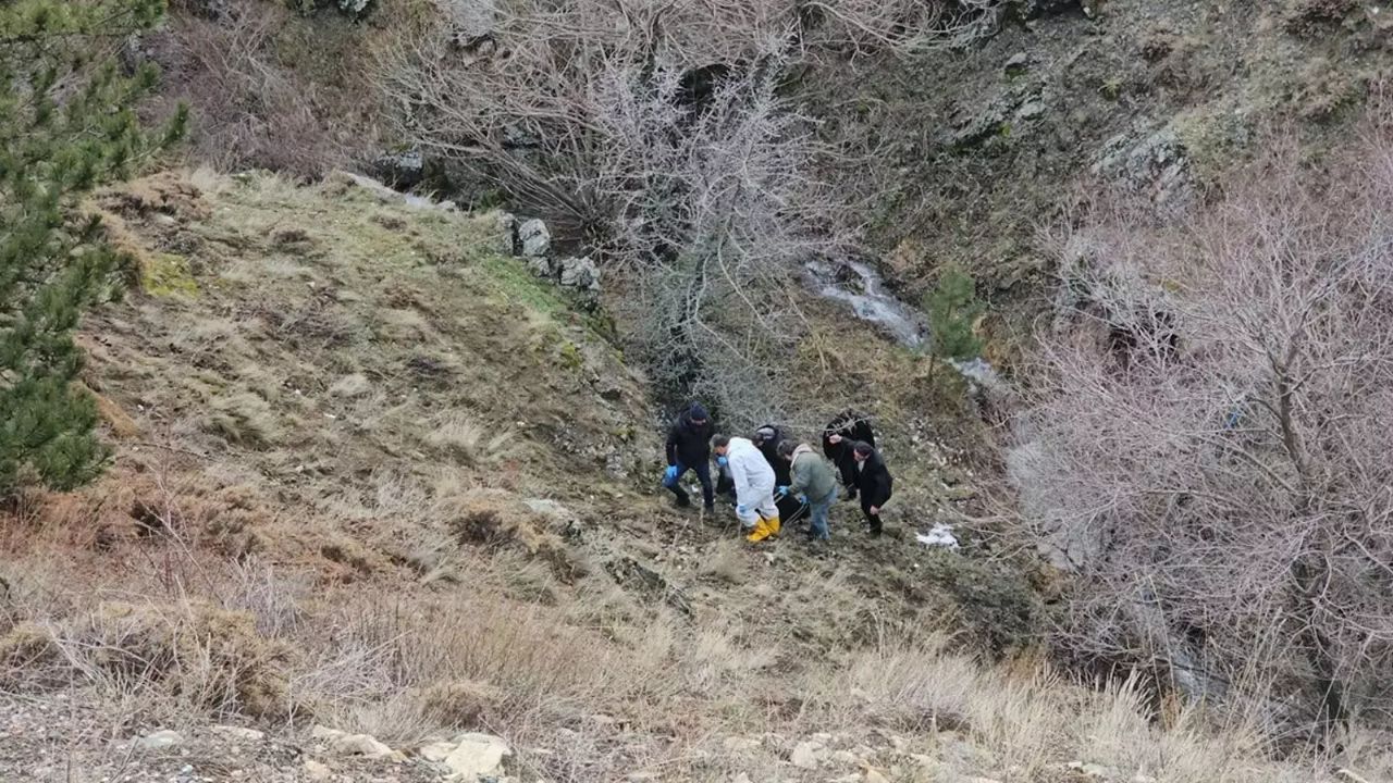 Yaşlı adamın kesik başı ormanda bulundu