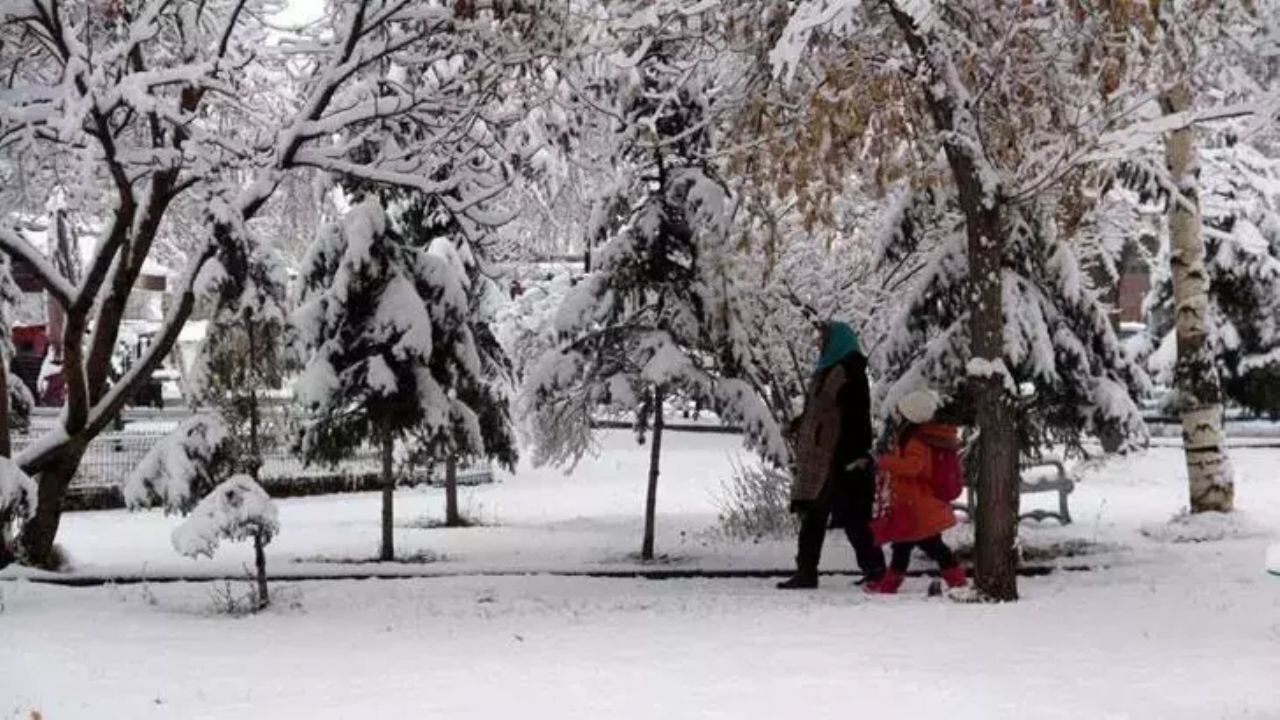 Yurtta kar engeli, okullar tatil edildi