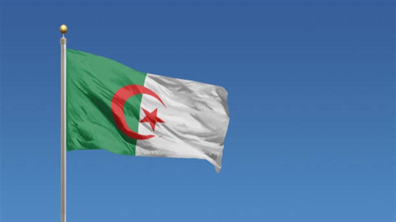 Cezayir'de Fransız sömürgeciliği suç ilan edildi