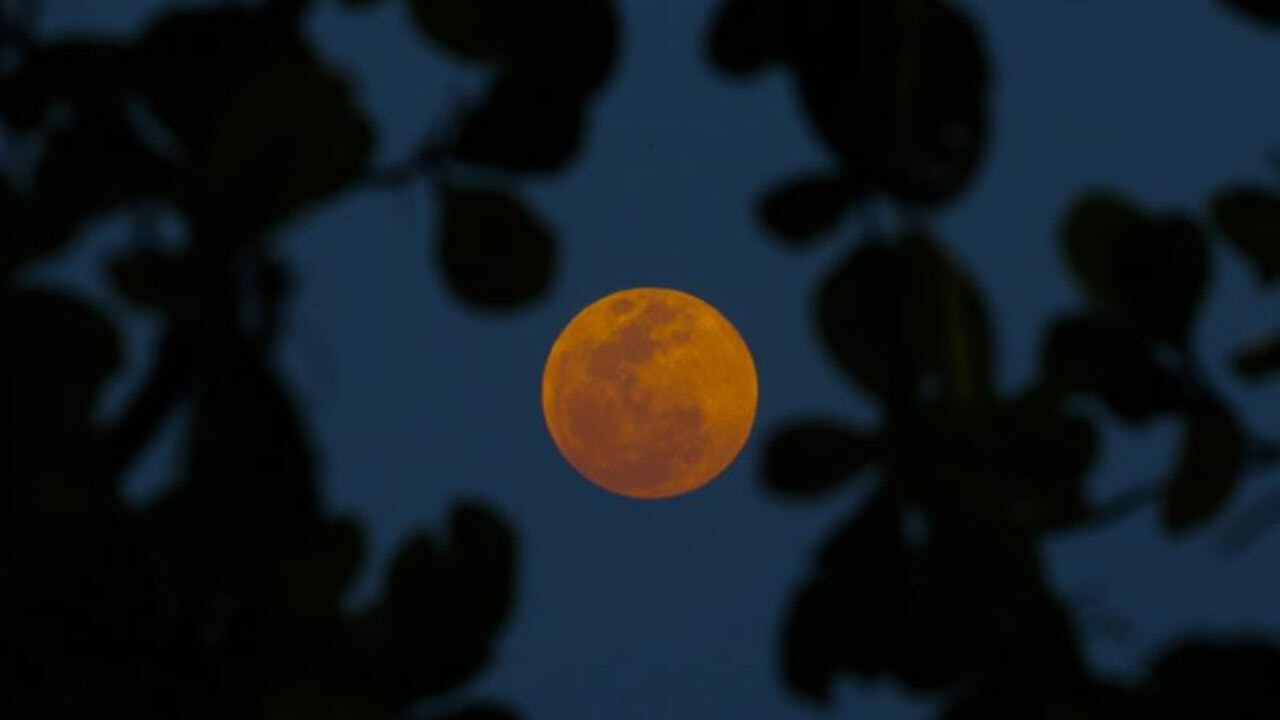 Kanlı Kurt Ay'ı tutulması başlıyor: Ne zaman, nasıl izlenecek?