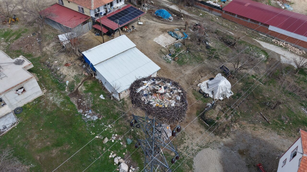 Sadık misafir leylek 10 yıldır yolunu şaşırmıyor