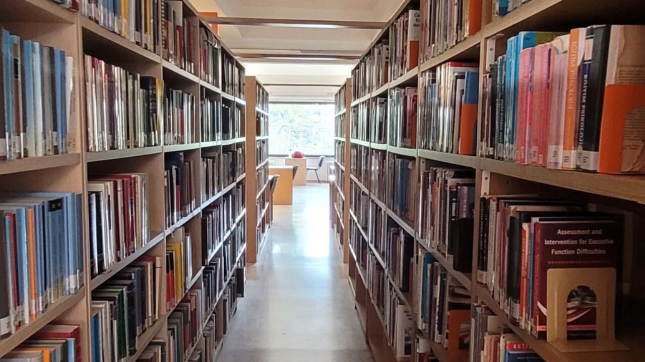 Türk klasiklerine ücretsiz erişim