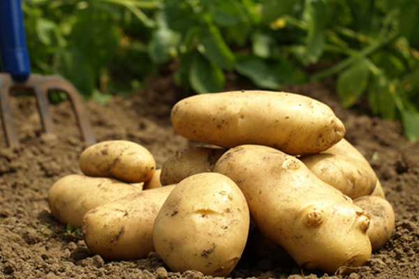 Patatese İran hamlesi