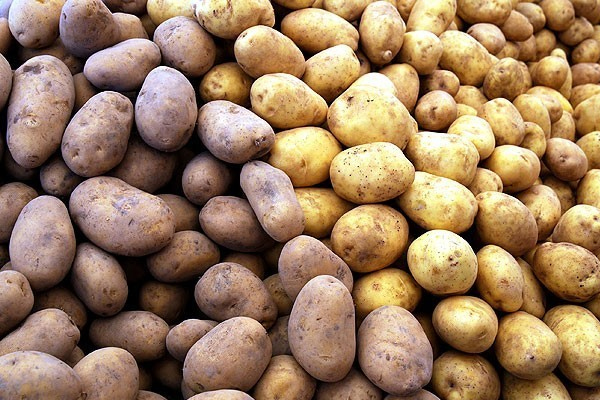 Patates fiyatları düşmeye başladı