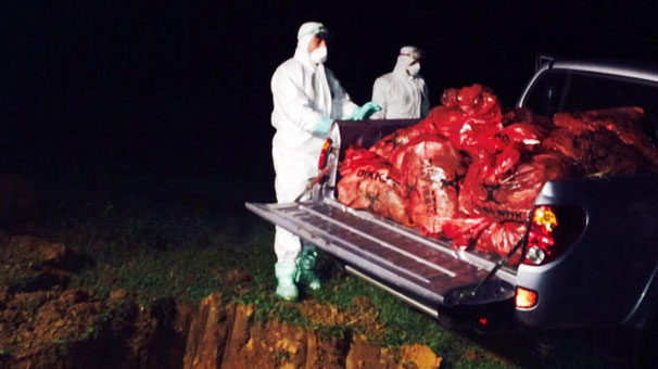 Gebze’de 10 bin tavuk itlaf edildi