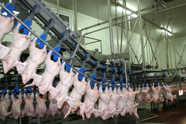 IKBY tavuk ithalini durdurdu