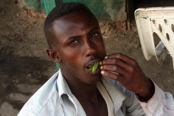 El Kaide'den Yemen'e uyuşturucu yasağı