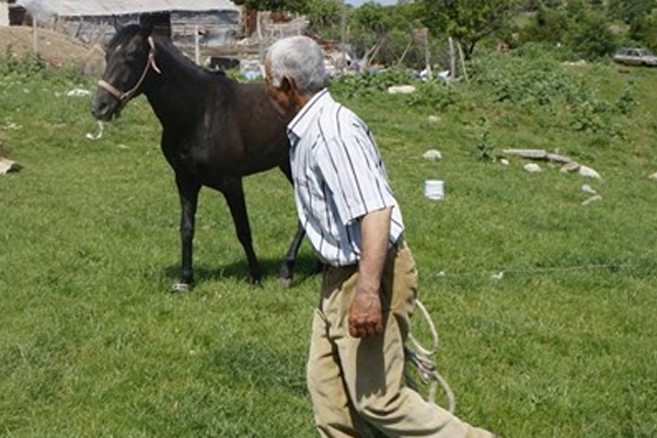 5 bin lira maaş alan çoban işi bıraktı