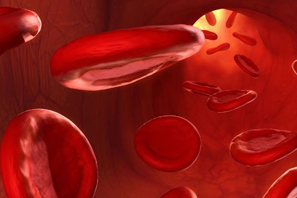 HIV virüsüne karşı aşı geliştirildi